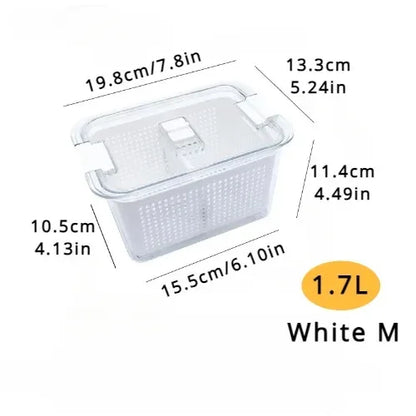 Solve & Shine Clear Fresh-Keeper Box for Veggies & Fruits!